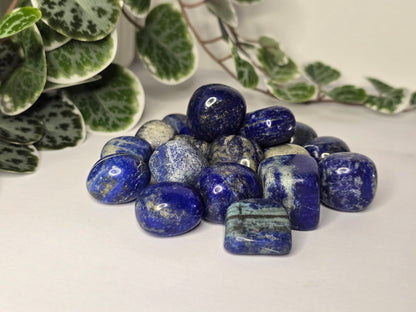 Lapis Lazuli Tumbles 20g