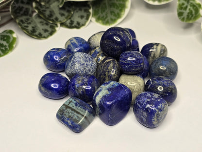 Lapis Lazuli Tumbles 20g