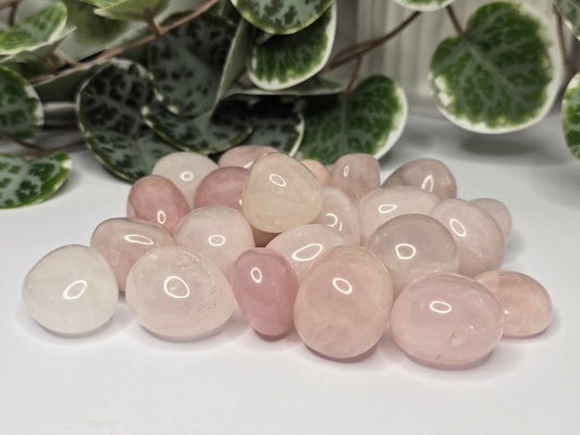 Rose Quartz Tumbles 16g