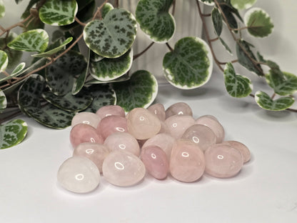 Rose Quartz Tumbles 16g