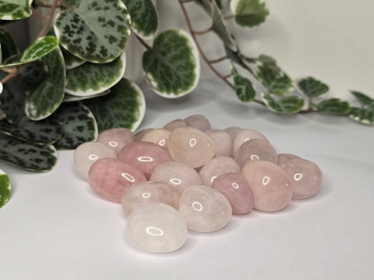 Rose Quartz Tumbles 16g
