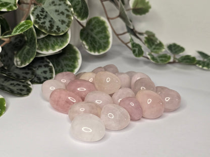 Rose Quartz Tumbles 16g