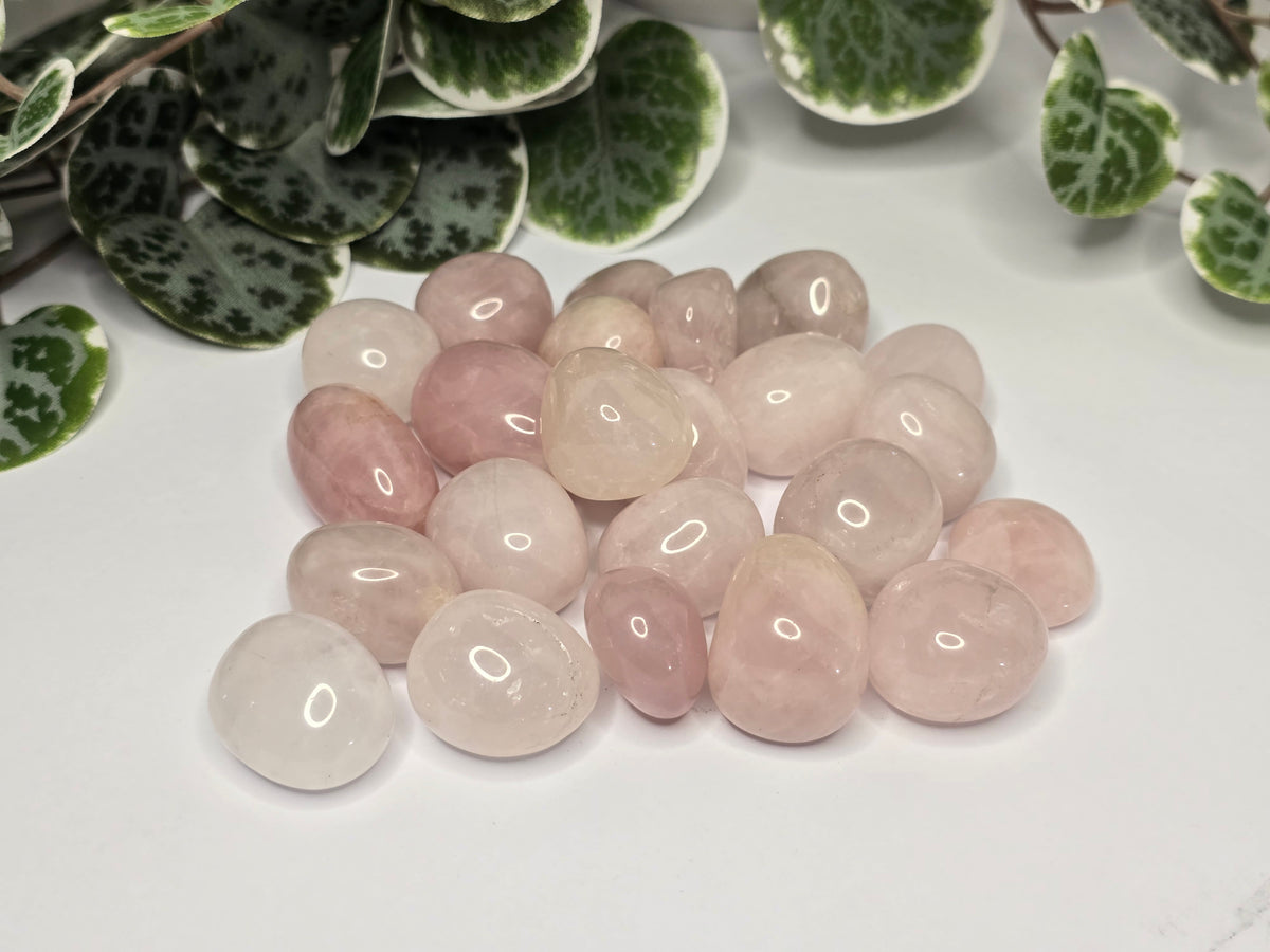 Rose Quartz Tumbles 16g
