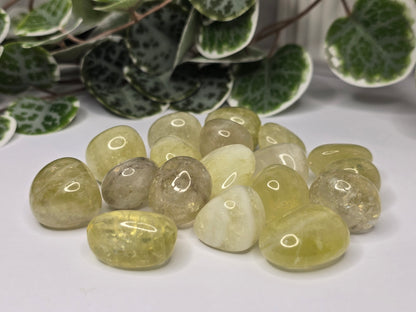 Citrine Tumbles 16g