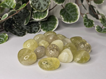 Citrine Tumbles 16g