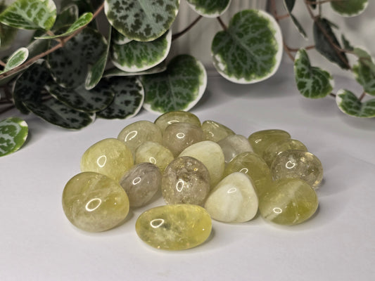 Citrine Tumbles 16g