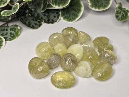 Citrine Tumbles 16g