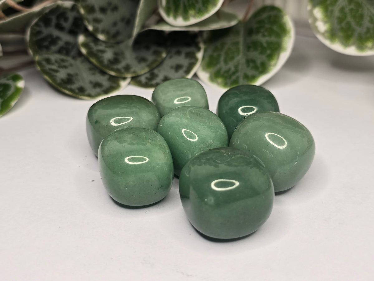 Green Adventurine Tumbles 16g
