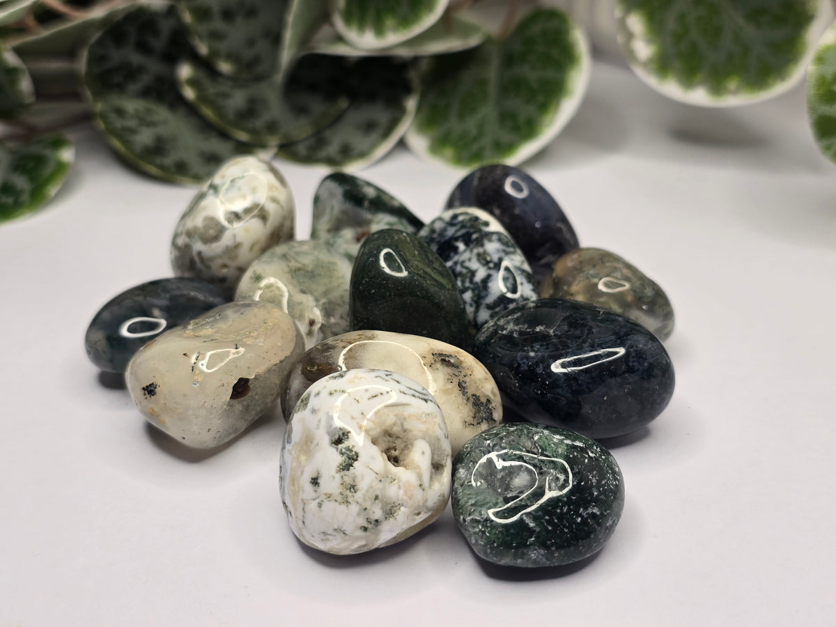 Moss Agate Tumbles 16g