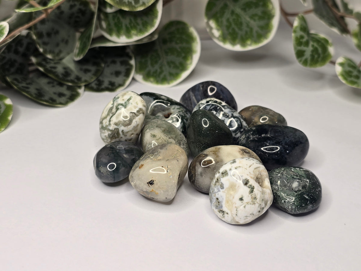 Moss Agate Tumbles 16g