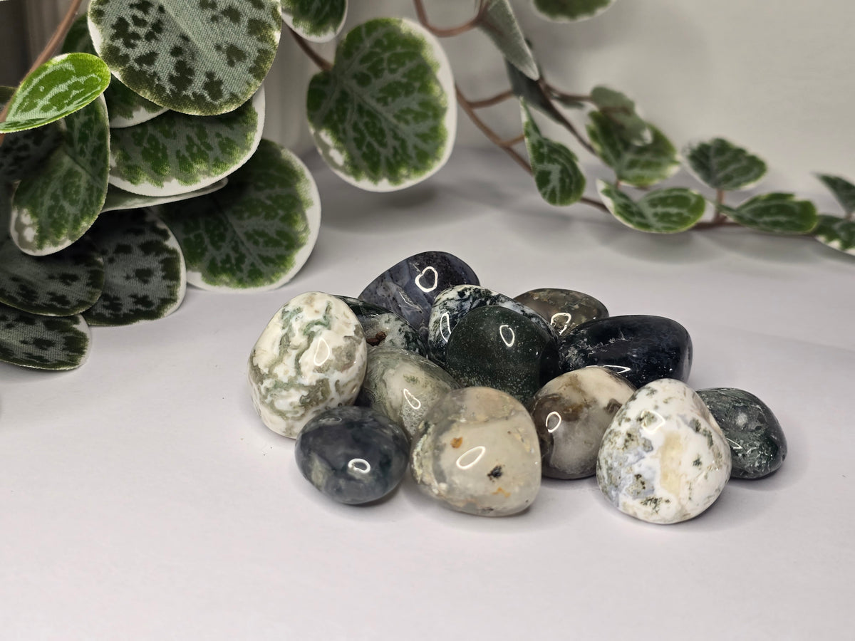 Moss Agate Tumbles 16g