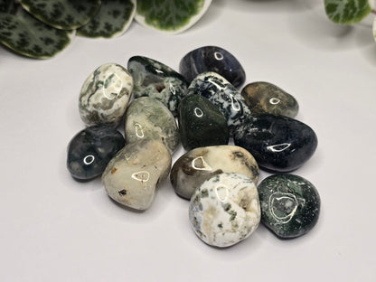 Moss Agate Tumbles 16g