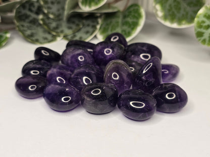 Amethyst Tumbles 13g