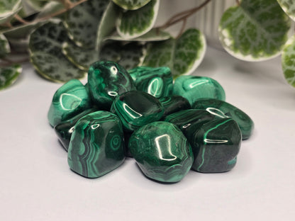 Malachite Tumbles 22g