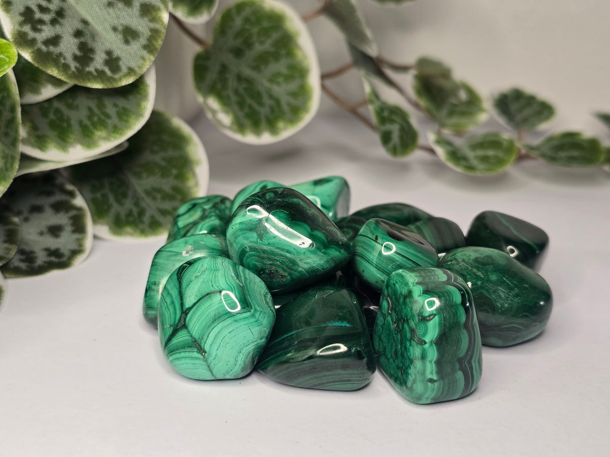 Malachite Tumbles 22g