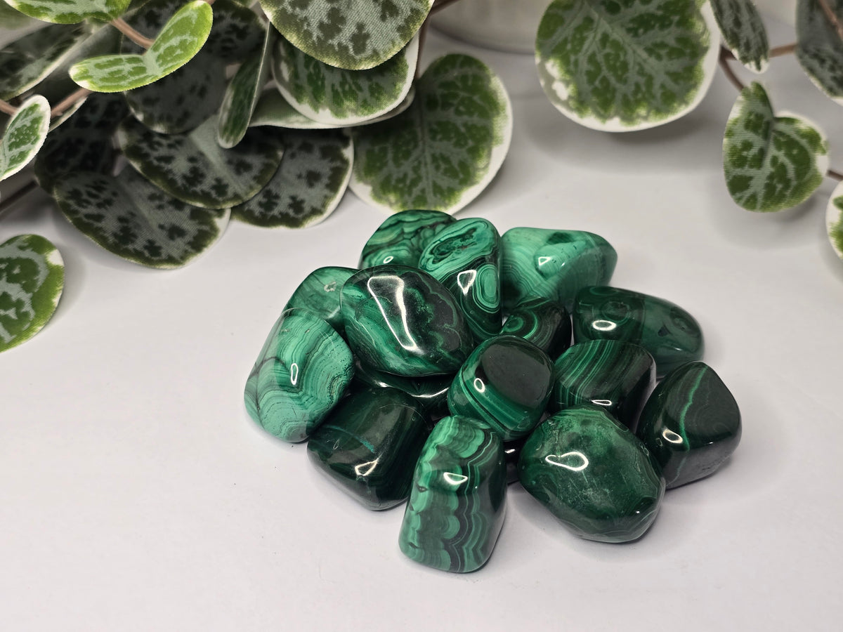 Malachite Tumbles 22g