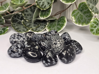 Snowflake Obsidian Tumbles 13g