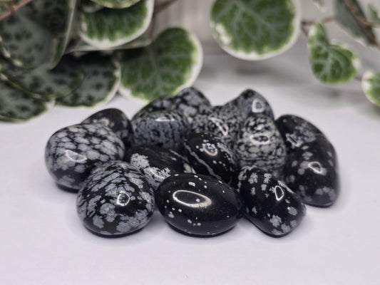 Snowflake Obsidian Tumbles 13g