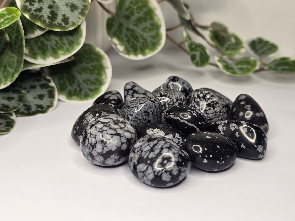 Snowflake Obsidian Tumbles 13g