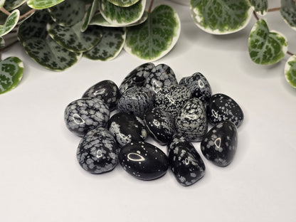 Snowflake Obsidian Tumbles 13g
