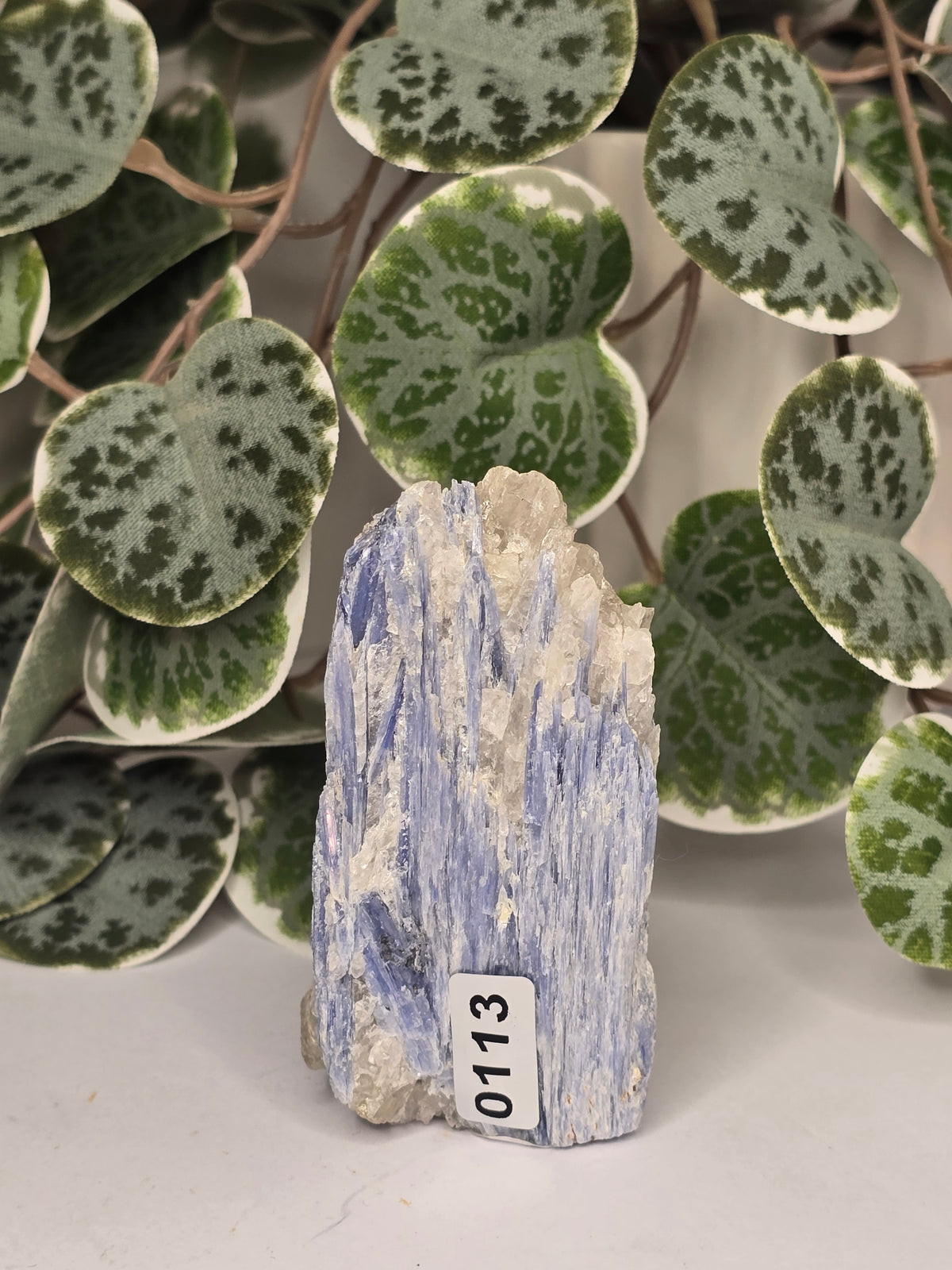 Blue Kyanite on Matrix Specimen 189g