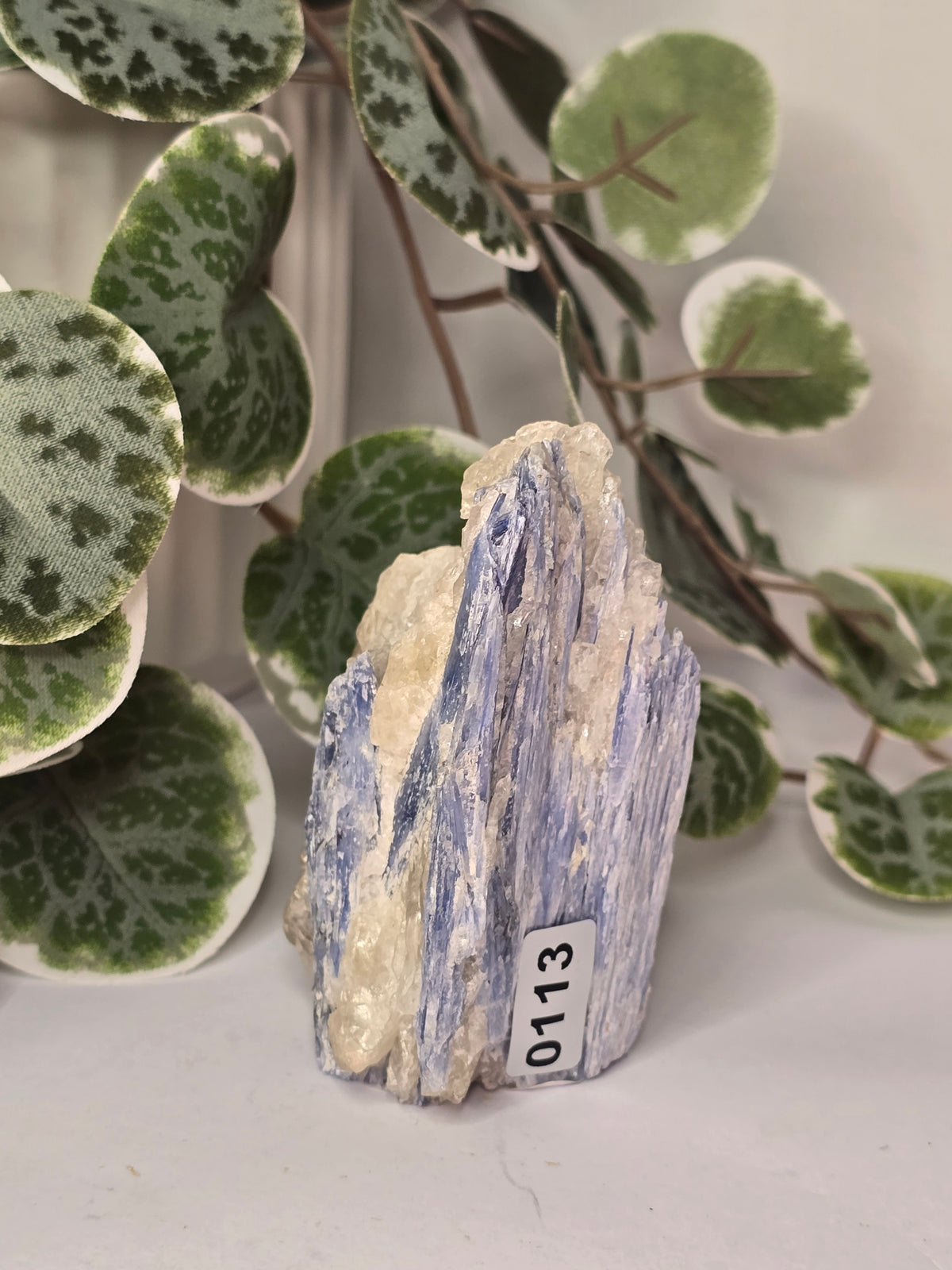 Blue Kyanite on Matrix Specimen 189g