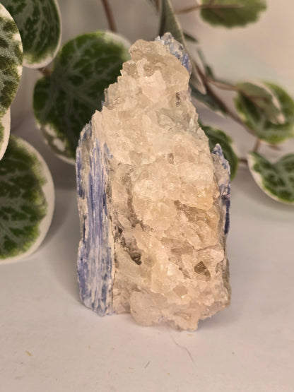 Blue Kyanite on Matrix Specimen 189g