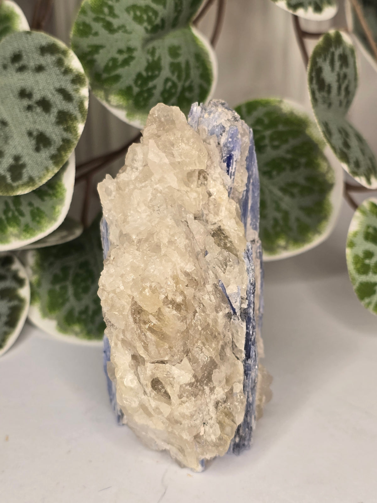 Blue Kyanite on Matrix Specimen 189g