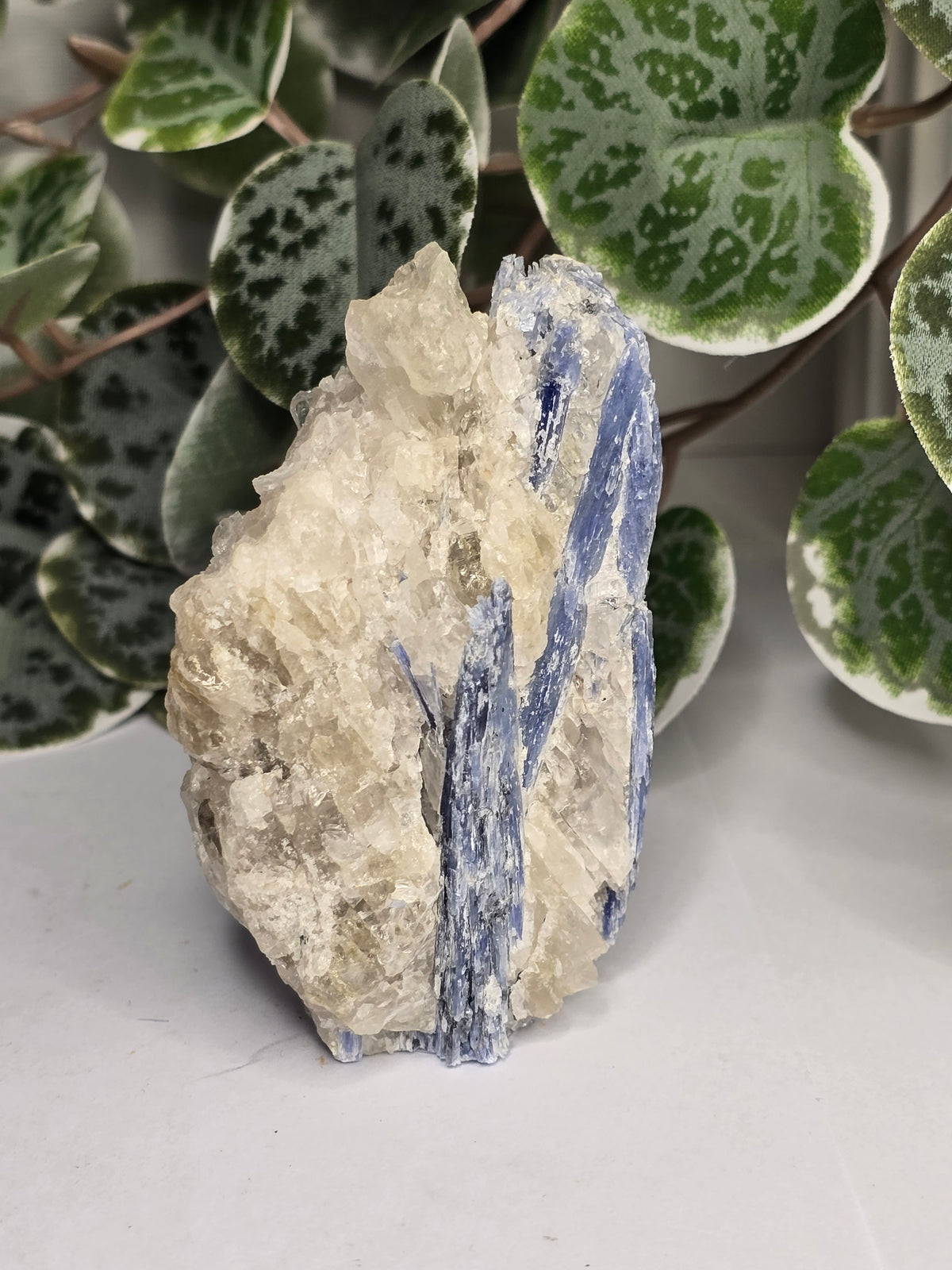 Blue Kyanite on Matrix Specimen 189g