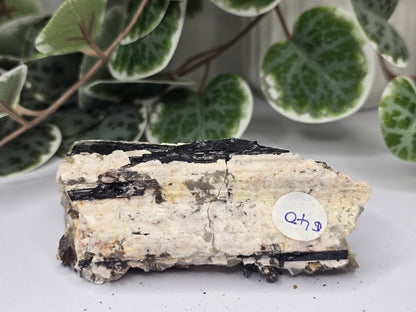Black Tourmaline Specimen On Host Rock 197g