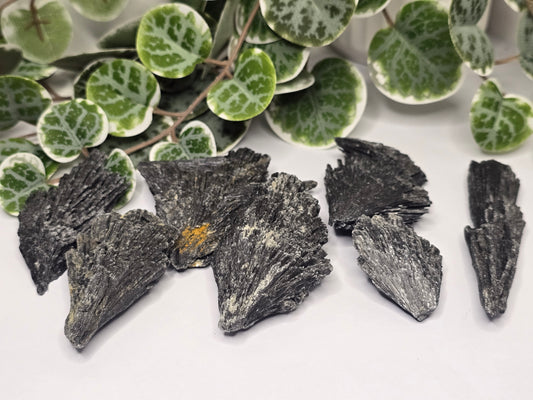Black Kyanite Specimen 50g