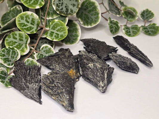Black Kyanite Specimen 50g