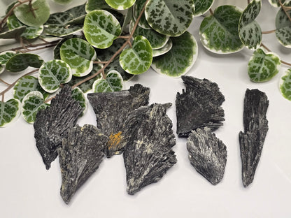 Black Kyanite Specimen 50g