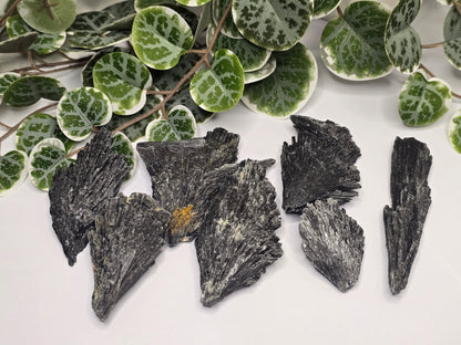 Black Kyanite Specimen 50g