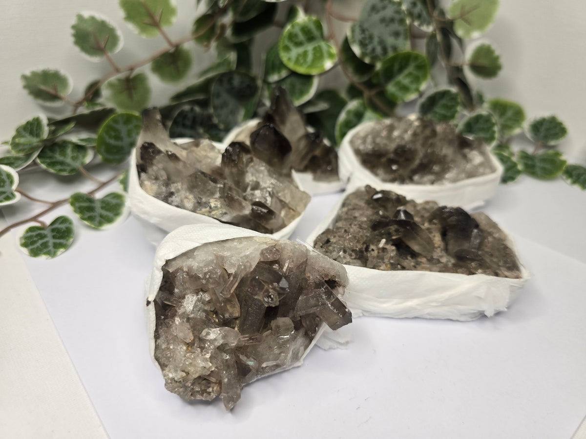Smoky Quartz Crystal Cluster and Points 190-300g