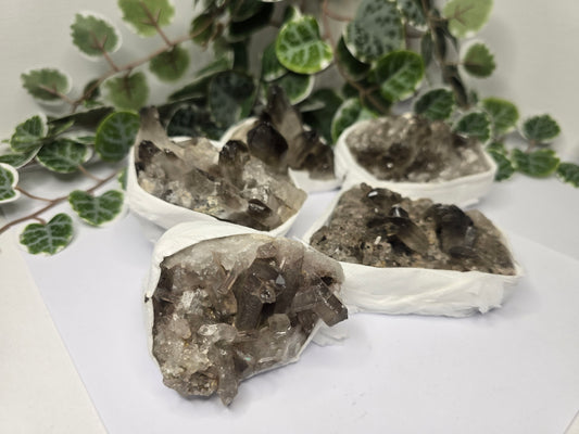 Smoky Quartz Crystal Cluster and Points 190-300g