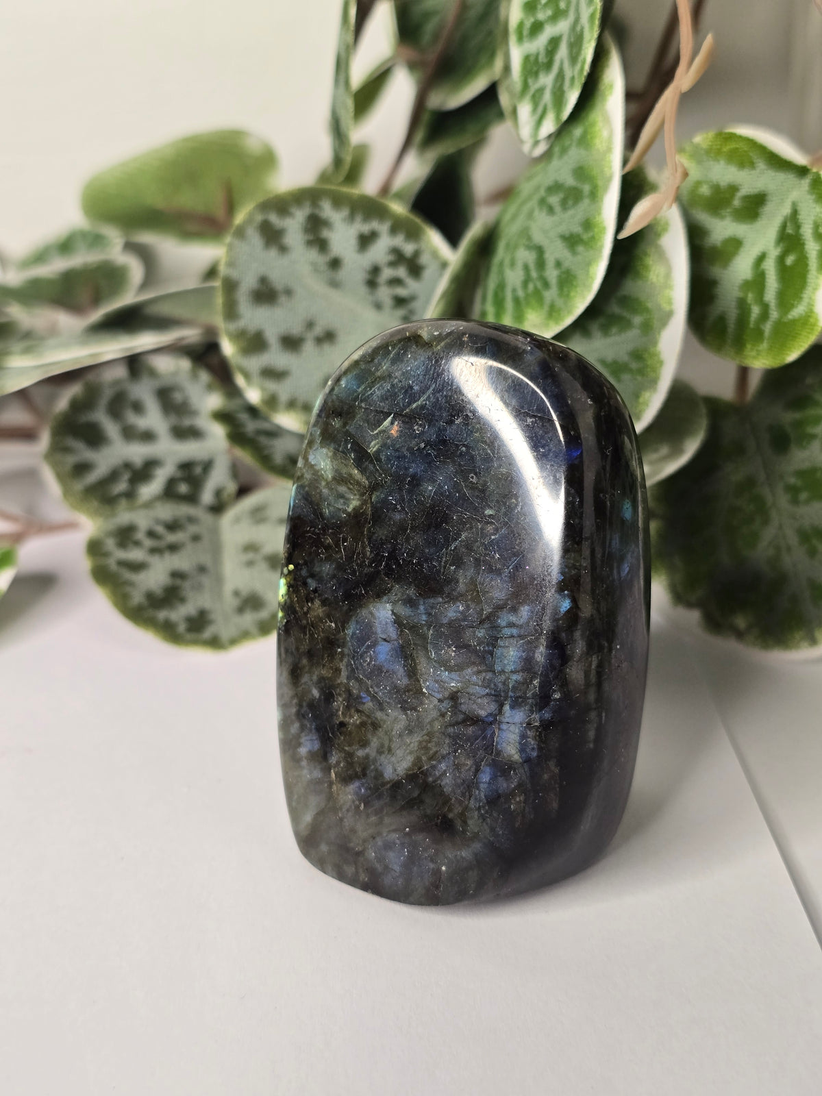 Labradorite Free Form 174g