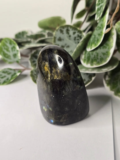 Labradorite Free Form 174g