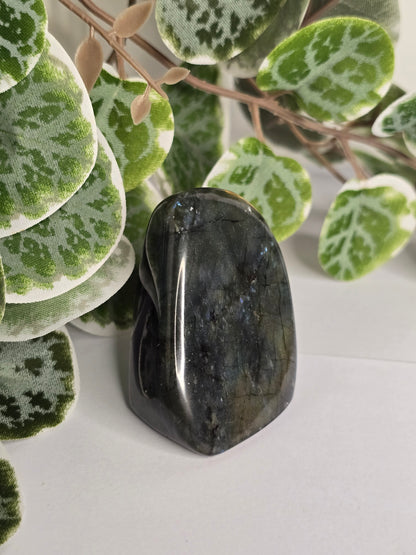 Labradorite Free Form 111g