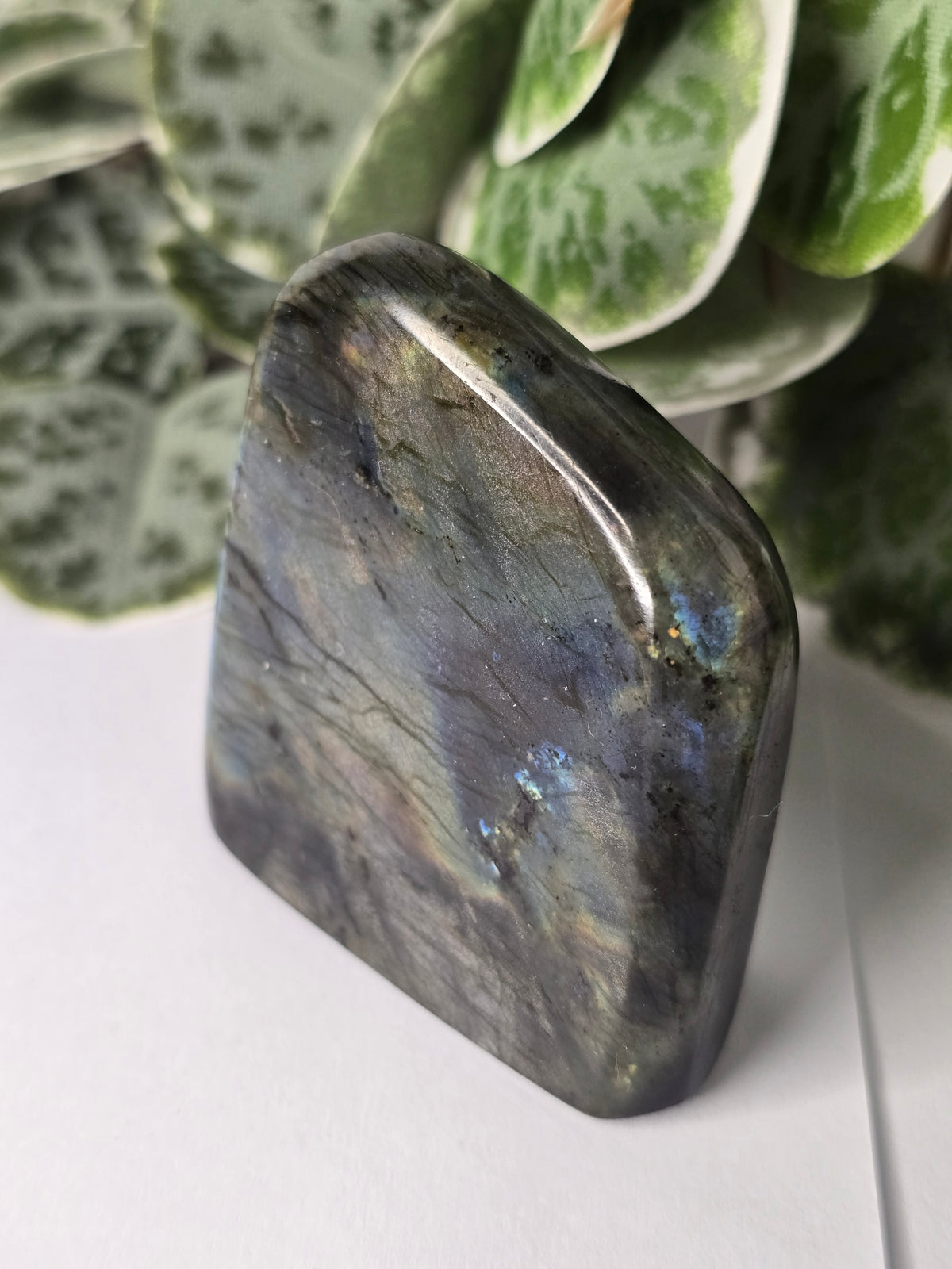 Labradorite Free Form 102g