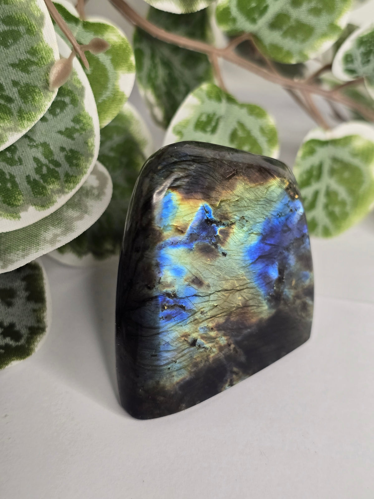 Labradorite Free Form 102g
