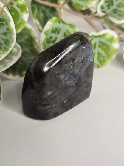 Labradorite Free Form 102g