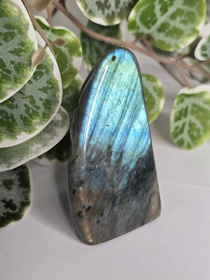 Labradorite Free Form 118g
