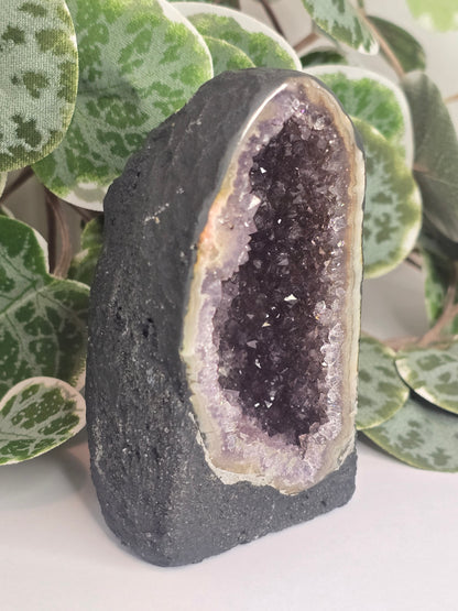 Amethyst Cathedral 197g