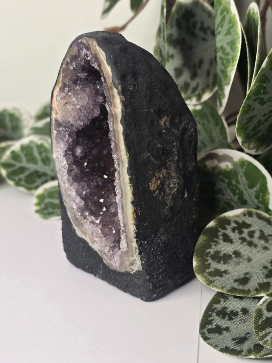 Amethyst Cathedral 197g