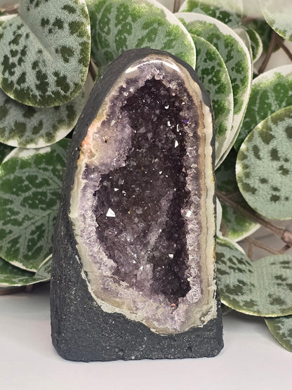 Amethyst Cathedral 197g