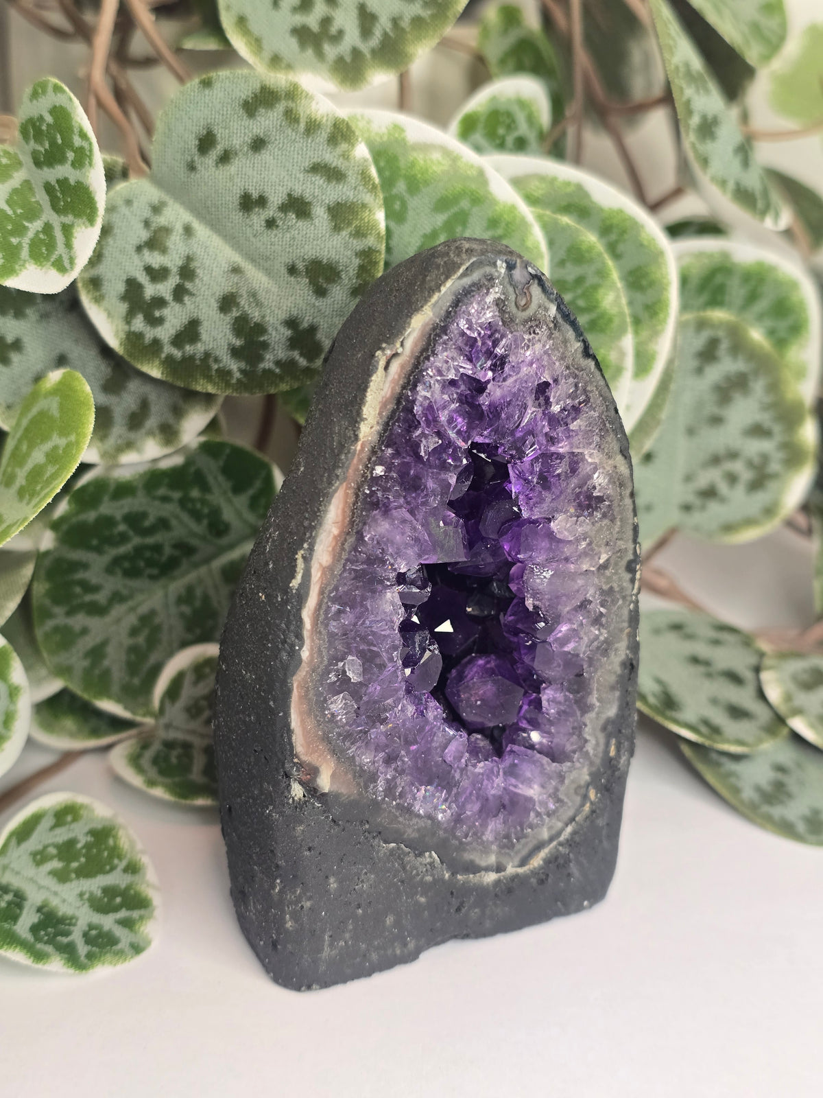 Amethyst Cathedral 265g