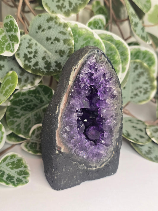 Amethyst Cathedral 265g
