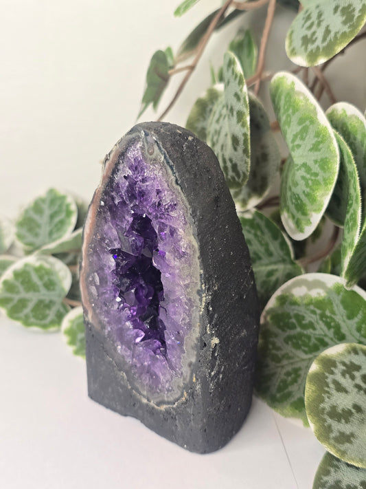 Amethyst Cathedral 265g