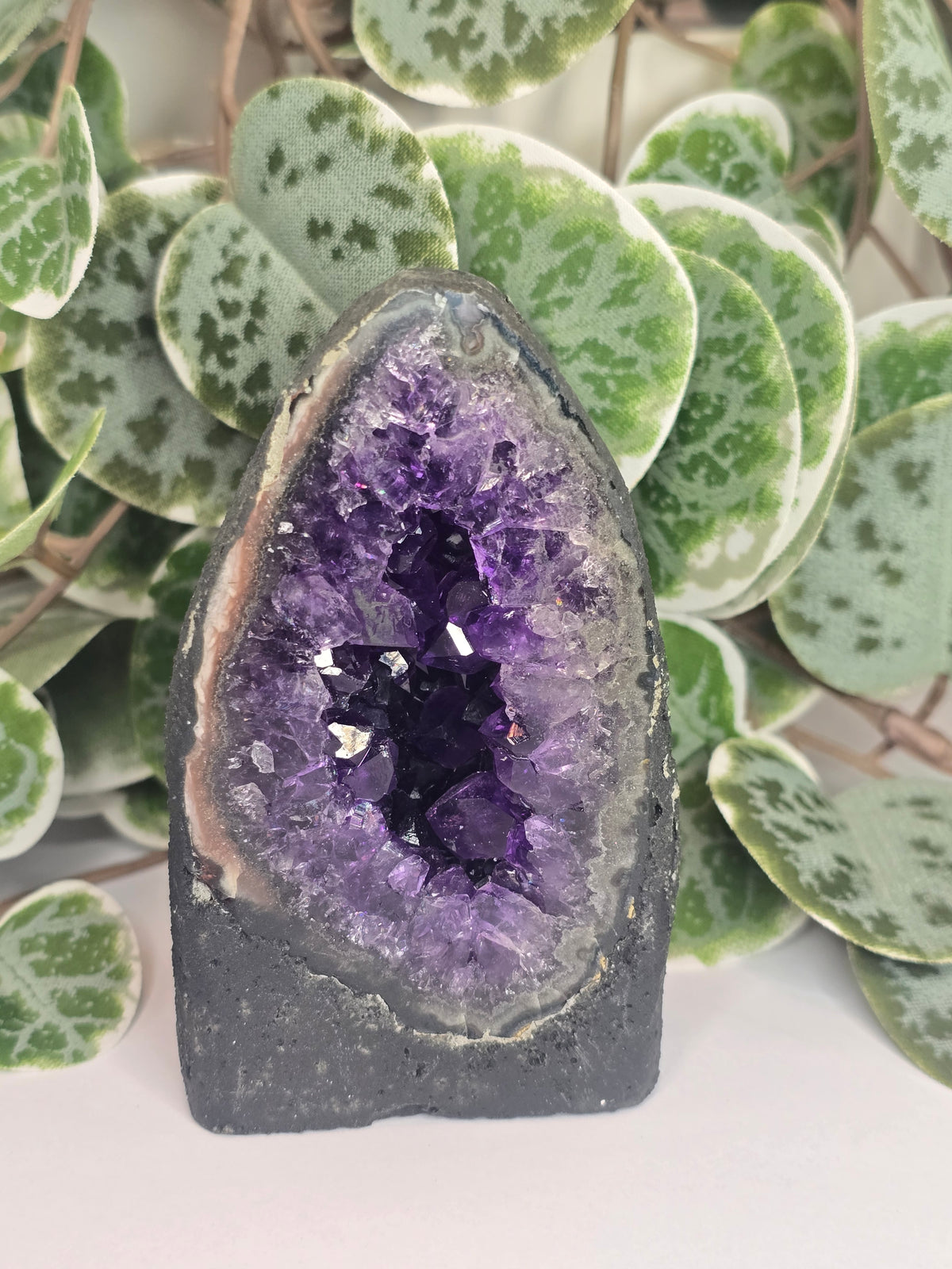 Amethyst Cathedral 265g